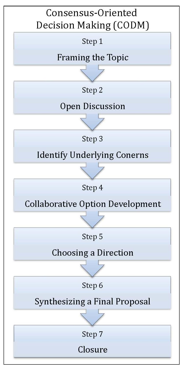 Description: CODM Model Flow Chart.jpg